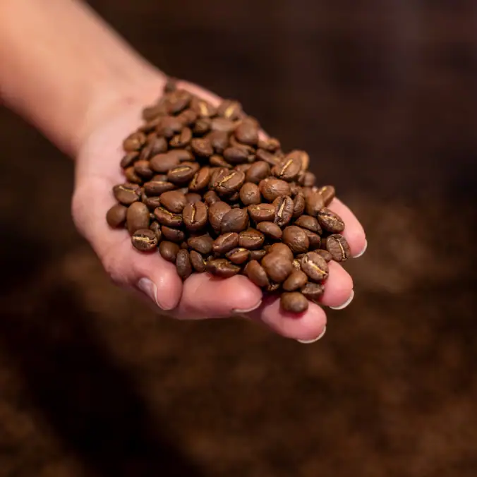 Café de especialidad colombiano
