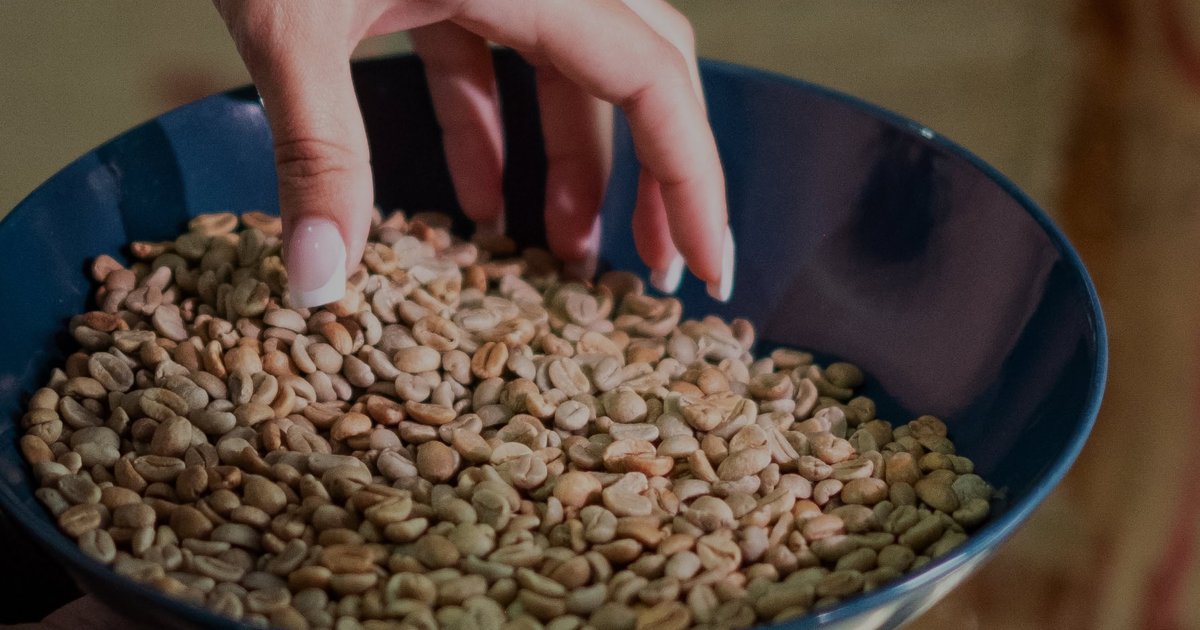 Café molido al pedido: frescura y sabor garantizados en España